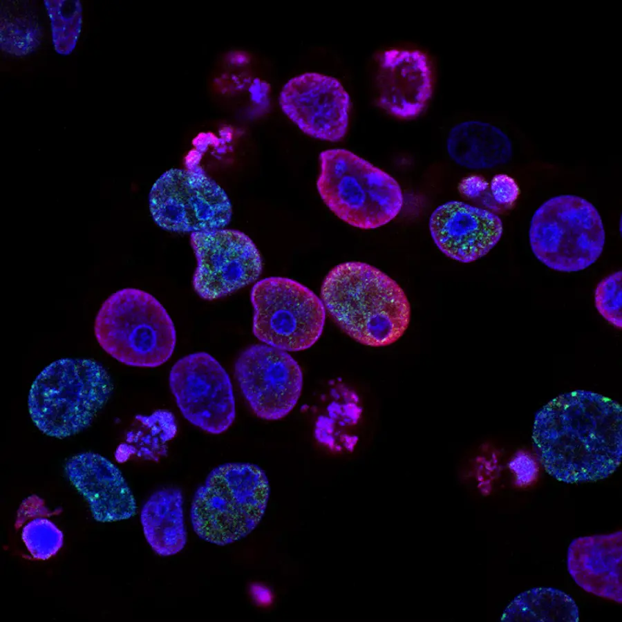 Life and Wellness: biotech research